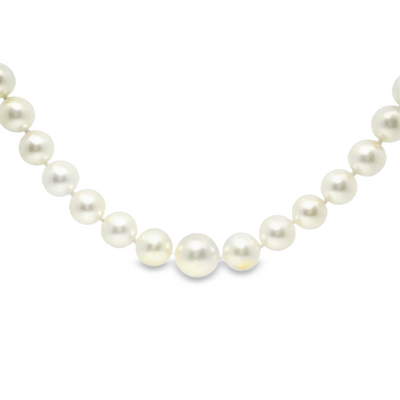 Graduated Pearl Strand