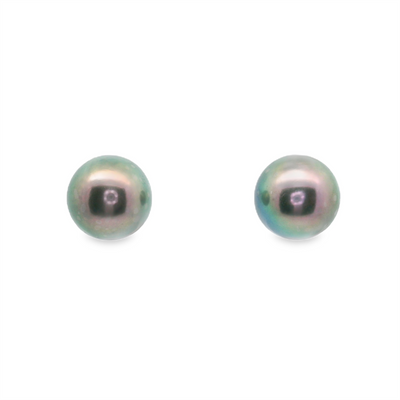 Tahitian Pearl Stud Earrings