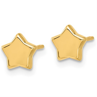 Star Shape Stud Earrings