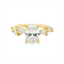 Oval Diamond Hidden Halo Engagement Ring