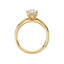 Round Diamond Hidden Halo Engagement Ring