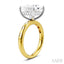 Princess Shape Semi-Mount Diamond Engagement Ring