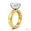 Oval Shape Semi-Mount Diamond Engagement Ring