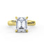 Emerald-Cut Diamond Hidden Halo Engagement Ring