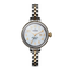 Shinola "The Birdy", 34 mm