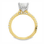 Princess-cut Diamond Hidden Halo Engagement Ring