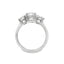 Ashoka Diamond Three Stone Engagement Ring