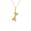 Petite Diamond Dog Bone Pendant
