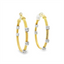 Diamond Hoop Earrings