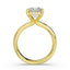 Emerald-Cut Diamond Hidden Halo Engagement Ring