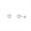 Pearl Stud Earrings