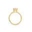 Oval Diamond Solitaire Engagement Ring