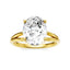 Oval Diamond Hidden Halo Engagement Ring
