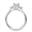 Oval Diamond Three Stone Hidden Halo Engagement Ring