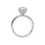 Oval Diamond Hidden Halo Engagement Ring