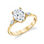 Oval Diamond Hidden Halo Engagement Ring