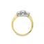 Three Stone Diamond Ring