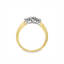 Three Stone Diamond Ring