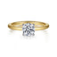 Round Diamond Hidden Halo Engagement Ring