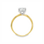 Cushion Diamond Hidden Halo Engagement Ring
