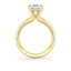 Round Diamond Engagement Ring
