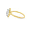 Oval Diamond Halo Engagement Ring