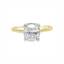 Cushion Diamond Hidden Halo Engagement Ring