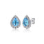 Bujukan Sterling Silver Blue Topaz Stud Earrings