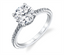 Round Diamond Hidden Halo Engagement Ring