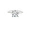 Round Diamond Hidden Halo Engagement Ring