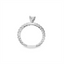 Princess Diamond Straight Band Engagement Ring