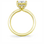Oval Diamond Hidden Halo Engagement Ring